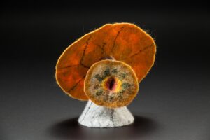 Slice: Orange